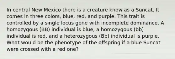 In central New Mexico there is a creature know as a Suncat. It comes in three colors, blue, red, and purple. This trait is controlled by a single locus gene with incomplete dominance. A homozygous (BB) individual is blue, a homozygous (bb) individual is red, and a heterozygous (Bb) individual is purple. What would be the phenotype of the offspring if a blue Suncat were crossed with a red one?