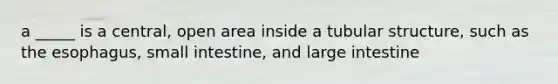 a _____ is a central, open area inside a tubular structure, such as the esophagus, small intestine, and large intestine