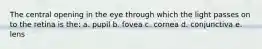 The central opening in the eye through which the light passes on to the retina is the: a. pupil b. fovea c. cornea d. conjunctiva e. lens