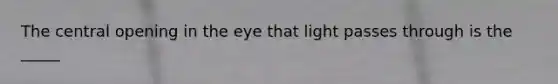 The central opening in the eye that light passes through is the _____