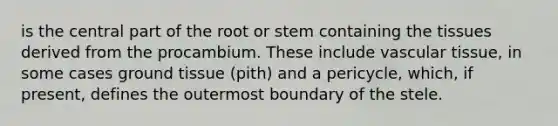 is the central part of the root or stem containing the tissues derived from the procambium. These include vascular tissue, in some cases ground tissue (pith) and a pericycle, which, if present, defines the outermost boundary of the stele.