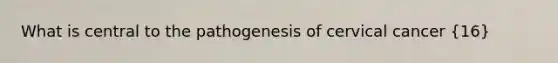 What is central to the pathogenesis of cervical cancer (16)