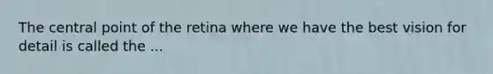 The central point of the retina where we have the best vision for detail is called the ...