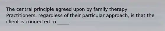 The central principle agreed upon by family therapy Practitioners, regardless of their particular approach, is that the client is connected to _____.