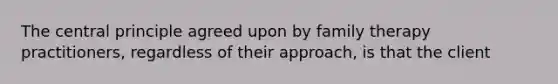 The central principle agreed upon by family therapy practitioners, regardless of their approach, is that the client