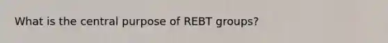 What is the central purpose of REBT groups?