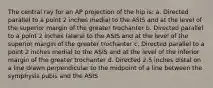 The central ray for an AP projection of the hip is: a. Directed parallel to a point 2 inches medial to the ASIS and at the level of the superior margin of the greater trochanter b. Directed parallel to a point 2 inches lateral to the ASIS and at the level of the superior margin of the greater trochanter c. Directed parallel to a point 2 inches medial to the ASIS and at the level of the inferior margin of the greater trochanter d. Directed 2.5 inches distal on a line drawn perpendicular to the midpoint of a line between the symphysis pubis and the ASIS