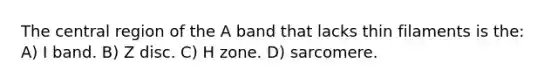 The central region of the A band that lacks thin filaments is the: A) I band. B) Z disc. C) H zone. D) sarcomere.