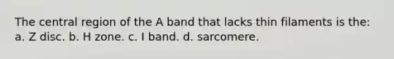 The central region of the A band that lacks thin filaments is the: a. Z disc. b. H zone. c. I band. d. sarcomere.