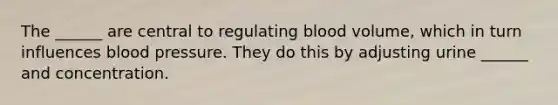 The ______ are central to regulating blood volume, which in turn influences blood pressure. They do this by adjusting urine ______ and concentration.