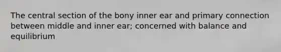 The central section of the bony inner ear and primary connection between middle and inner ear; concerned with balance and equilibrium