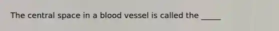 The central space in a blood vessel is called the _____