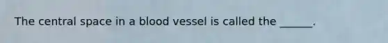 The central space in a blood vessel is called the ______.