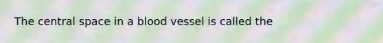 The central space in a blood vessel is called the