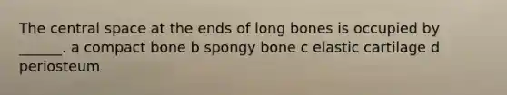 The central space at the ends of long bones is occupied by ______. a compact bone b spongy bone c elastic cartilage d periosteum