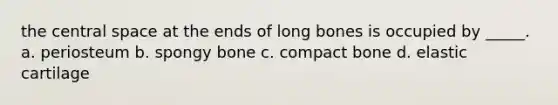 the central space at the ends of long bones is occupied by _____. a. periosteum b. spongy bone c. compact bone d. elastic cartilage