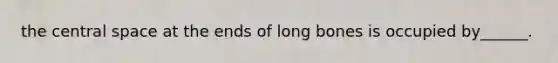 the central space at the ends of long bones is occupied by______.