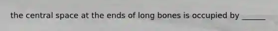 the central space at the ends of long bones is occupied by ______