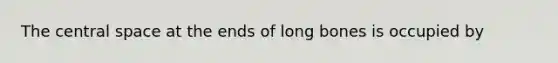 The central space at the ends of long bones is occupied by