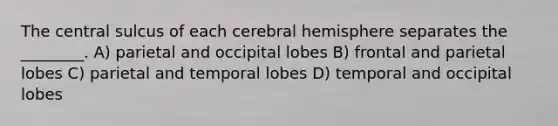 The central sulcus of each cerebral hemisphere separates the ________. A) parietal and occipital lobes B) frontal and parietal lobes C) parietal and temporal lobes D) temporal and occipital lobes