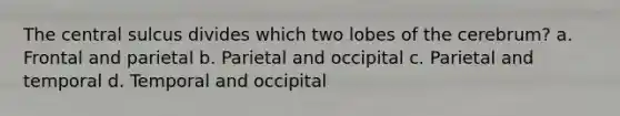 The central sulcus divides which two lobes of the cerebrum? a. Frontal and parietal b. Parietal and occipital c. Parietal and temporal d. Temporal and occipital