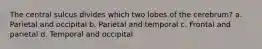 The central sulcus divides which two lobes of the cerebrum? a. Parietal and occipital b. Parietal and temporal c. Frontal and parietal d. Temporal and occipital