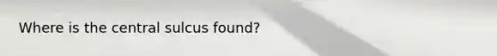 Where is the central sulcus found?