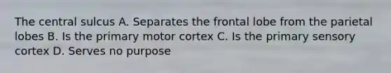 The central sulcus A. Separates the frontal lobe from the parietal lobes B. Is the primary motor cortex C. Is the primary sensory cortex D. Serves no purpose