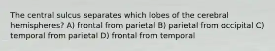 The central sulcus separates which lobes of the cerebral hemispheres? A) frontal from parietal B) parietal from occipital C) temporal from parietal D) frontal from temporal