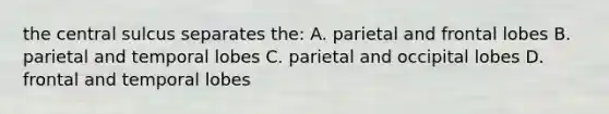 the central sulcus separates the: A. parietal and frontal lobes B. parietal and temporal lobes C. parietal and occipital lobes D. frontal and temporal lobes