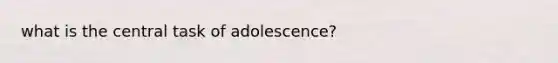 what is the central task of adolescence?