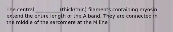 The central __________(thick/thin) filaments containing myosin extend the entire length of the A band. They are connected in the middle of the sarcomere at the M line