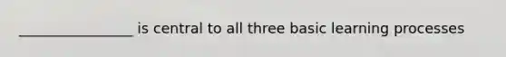 ________________ is central to all three basic learning processes