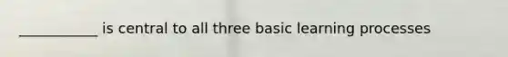 ___________ is central to all three basic learning processes