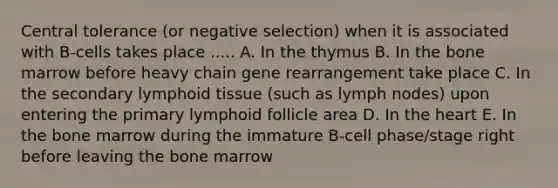 Central tolerance (or negative selection) when it is associated with B-cells takes place ..... A. In the thymus B. In the bone marrow before heavy chain gene rearrangement take place C. In the secondary lymphoid tissue (such as lymph nodes) upon entering the primary lymphoid follicle area D. In the heart E. In the bone marrow during the immature B-cell phase/stage right before leaving the bone marrow