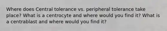 Where does Central tolerance vs. peripheral tolerance take place? What is a centrocyte and where would you find it? What is a centrablast and where would you find it?