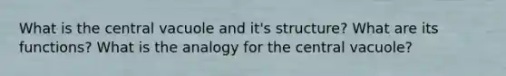 What is the central vacuole and it's structure? What are its functions? What is the analogy for the central vacuole?