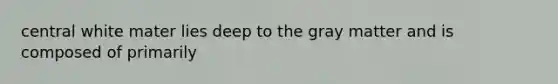 central white mater lies deep to the gray matter and is composed of primarily