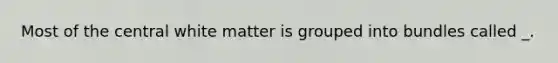 Most of the central white matter is grouped into bundles called _.