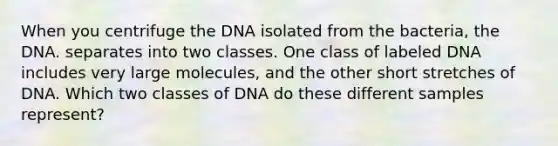 When you centrifuge the DNA isolated from the bacteria, the DNA. separates into two classes. One class of labeled DNA includes very large molecules, and the other short stretches of DNA. Which two classes of DNA do these different samples represent?