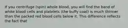 If you centrifuge (spin) whole blood, you will find the band of white blood cells and platelets (the buffy coat) is much thinner than the packed red blood cells below it. This difference reflects the fact that