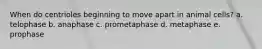 When do centrioles beginning to move apart in animal cells? a. telophase b. anaphase c. prometaphase d. metaphase e. prophase