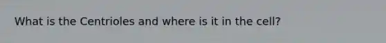What is the Centrioles and where is it in the cell?