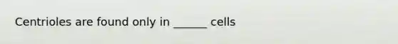 Centrioles are found only in ______ cells