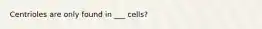 Centrioles are only found in ___ cells?