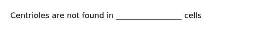 Centrioles are not found in _________________ cells