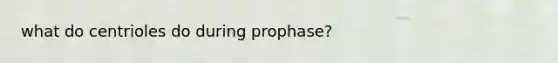 what do centrioles do during prophase?