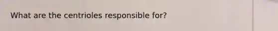 What are the centrioles responsible for?