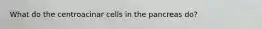 What do the centroacinar cells in the pancreas do?
