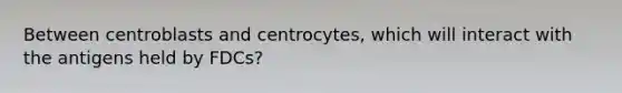 Between centroblasts and centrocytes, which will interact with the antigens held by FDCs?